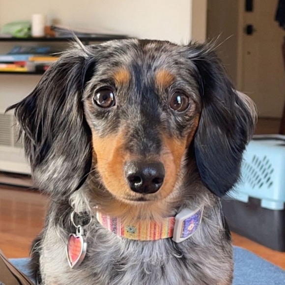 Meet your Posher, Clare aka QuirkyThrifter - Picture 7 of 7